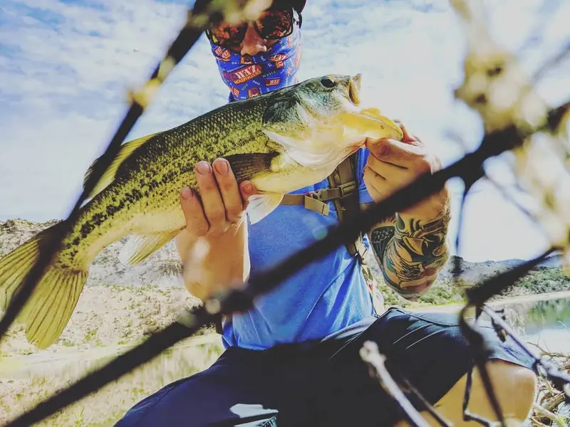 Bass caught using the Bass Unlocked system 1